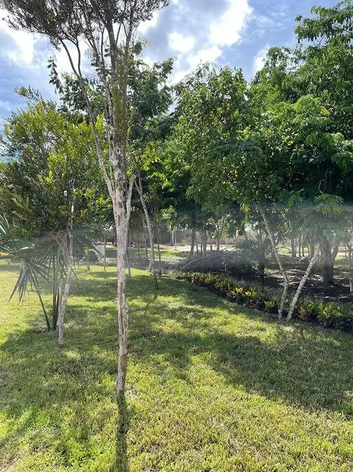 Jardines12. Paradise On Earth Villa Cancun 0*,